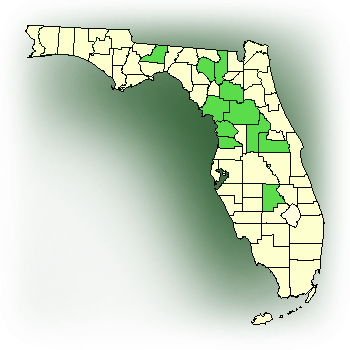 Distribution map for Three Birds Orchid, Nodding Pogonia (Triphora trianthophora)