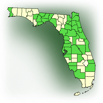 Distribution map for Bearded Grass Pink, Early Grass Pink (Calopogon barbatus)