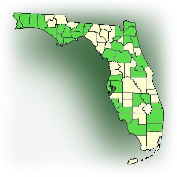 Distribution map for Pale Grass Pink (Calopogon pallidus)