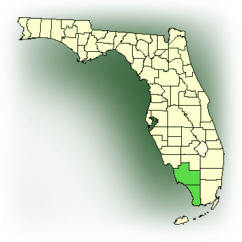 Distribution map for Thickroot Orchid, Ribbon Orchid (Campylocentrum pachyrrhizum)