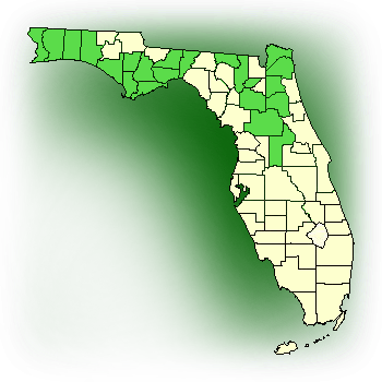 Distribution map for Rosebud Orchid, Spreading Pogonia (Cleistes bifaria)