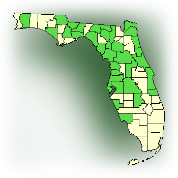 Distribution map for Spring Coralroot, Wister's Coralroot (Corallorhiza wisteriana)