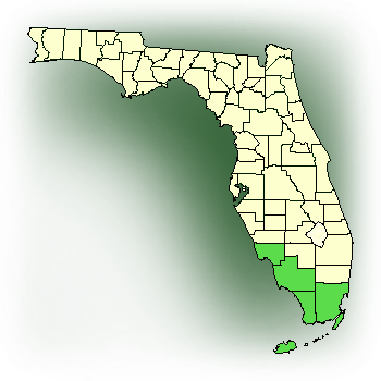 Distribution map for Cowhorn Orchid,Cigar Orchid,Bee-swarm Orchid (Cyrtopodium punctatum)