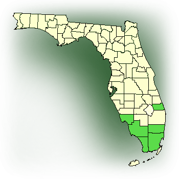 Distribution map for Dingy Flowered Star Orchid (Epidendrum amphistomum)