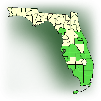 Distribution map for Grass-leaved Eulophia; Chinese Crown Orchid (Eulophia graminea)