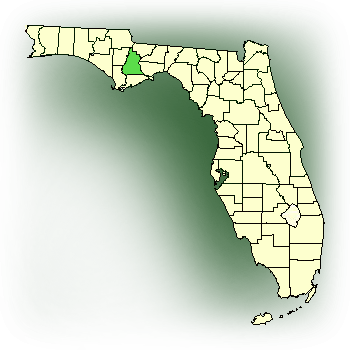 Distribution map for Downy Rattlesnake Plantain (Goodyera pubescens)