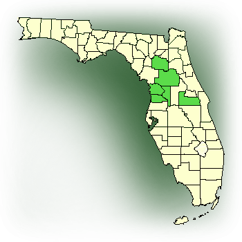 Distribution map for Long-horned false rein orchid (Habenaria macroceratitis)