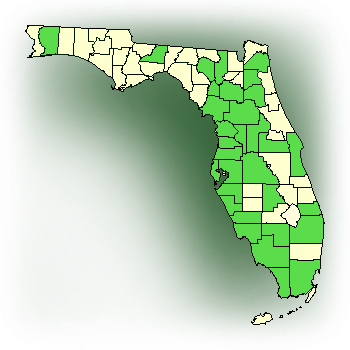Distribution map for Michaux's Orchid (Habenaria quinqueseta)