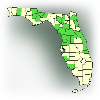 Distribution map for Crested Coralroot (Hexalectris spicata)
