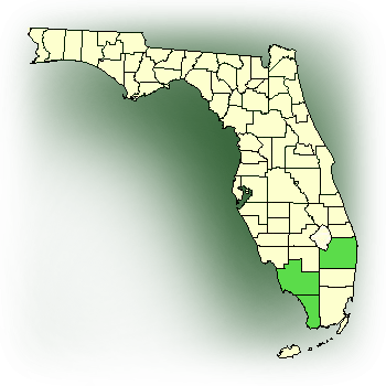 Distribution map for Delicate Ionopsis, Delicate Violet Orchid (Ionopsis utricularoides)