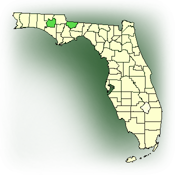 Distribution map for Large Whorled Pogonia (Isotria verticillata)