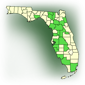 Distribution map for Florida Adder's Mouth (Malaxis spicata)