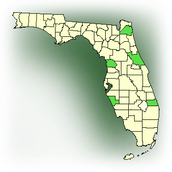 Distribution map for Copper Ladies Tresses (Mesadenus lucayanus)