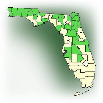 Distribution map for White fringed orchid. (Platanthera blephariglottis v. conspicua)