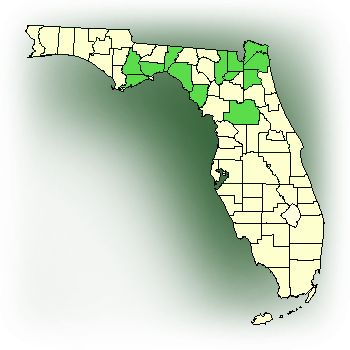 Distribution map for Chapman's Fringed Orchid (Platanthera chapmanii)