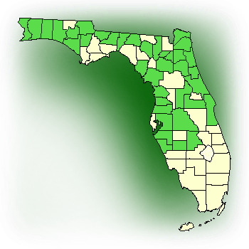 Distribution map for Orange Fringed Orchid, Yellow Fringed Orchid (Platanthera ciliaris)