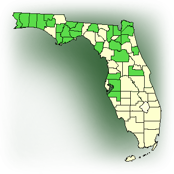 Distribution map for Crested Fringed Orchid (Platanthera cristata)
