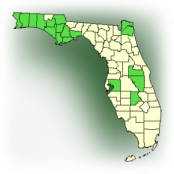 Distribution map for Orange Fringeless Orchid (Platanthera integra)