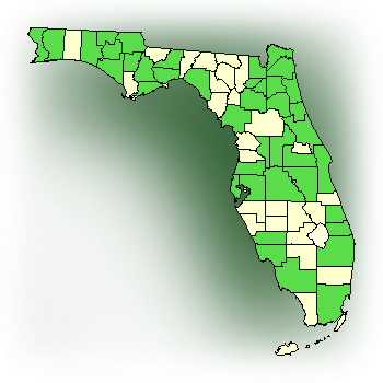 Distribution map for Snowy Orchid, Bog Torch (Platanthera nivea)