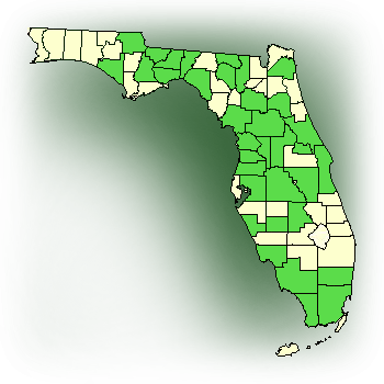 Distribution map for Shadow Witch Orchid (Ponthieva racemosa)