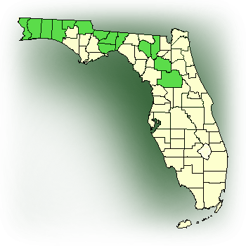Distribution map for Cranefly Orchid; Crippled Cranefly Orchid; Elfin Spur (Tipularia discolor)