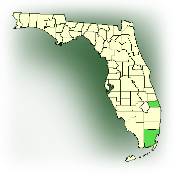 Distribution map for Fuchs' Vanilla, Mexican Vanilla (Vanilla mexicana)