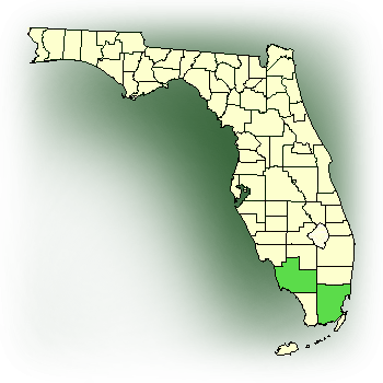 Distribution map for Leafy Vanilla (Vanilla phaeantha)